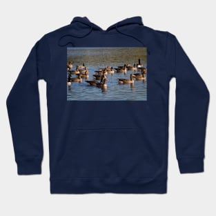 A gaggle of geese Hoodie